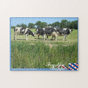 Fryslân Boppe Frisian Holstein Koeien in Meadow Legpuzzel