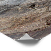 FS1E in Marokko Poster (Hoek)