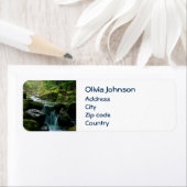 Fstromende Creek, groene mossy Rocks, Natuur van b Etiket (Insitu)