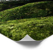 Fstromende Creek, groene mossy Rocks, Natuur van b Poster (Hoek)