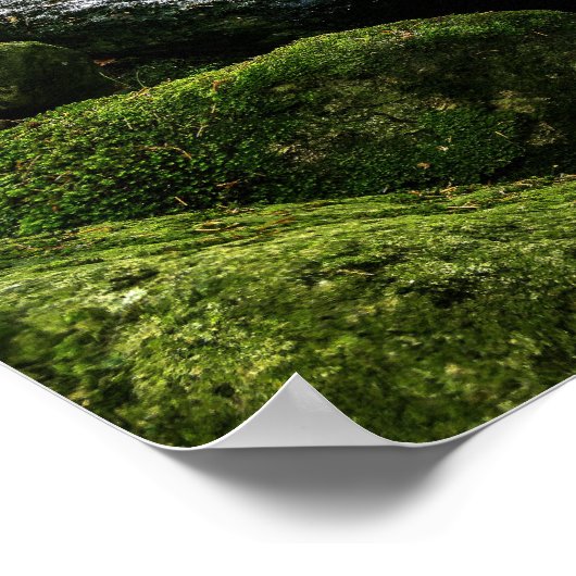 Fstromende Creek, groene mossy Rocks, Natuur van b Poster (Hoek)