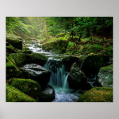Fstromende Creek, groene mossy Rocks, Natuur van b Poster (Voorkant)