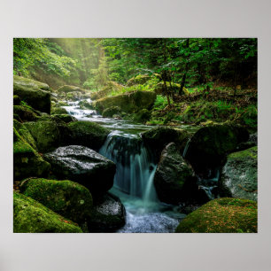 Fstromende Creek, groene mossy Rocks, Natuur van b Poster