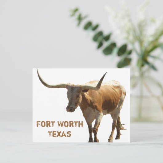 Ft Worth Longhorn Briefkaart (Staand voorkant)