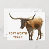 Ft Worth Longhorn Briefkaart (Voorkant / Achterkant)