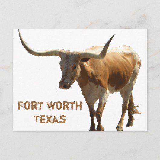 Ft Worth Longhorn Briefkaart (Voorkant)