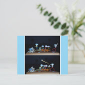 Fubby die slagbal spelen met mais/popcorn. briefkaart (Staand voorkant)