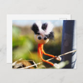 Fubby, een fantasie poppetje. briefkaart (Voorkant / Achterkant)