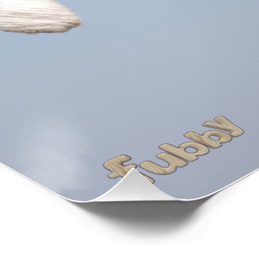 Fubby krachten, Hang in There, I got you Perfect Poster (Hoek)