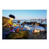 Fubby met flessenpost aan de kust. perfect poster (Voorkant)