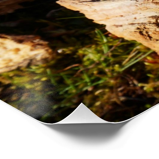 Fubby monster op de schommel. perfect poster (Hoek)