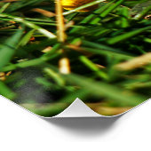 Fubby poppetjes die dansen met Narcissenjurk. Perfect Poster (Hoek)