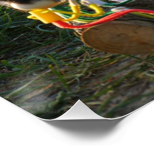 Fubby poppetjes die goocheltruc uitvoeren  perfect poster (Hoek)