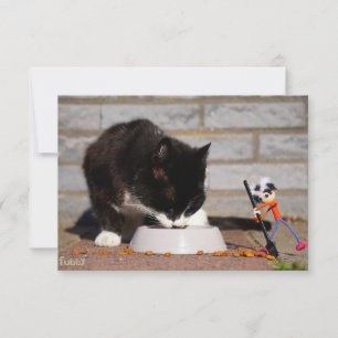 Fubby schoonmaken met de bezem bij etende Kat. Bedankkaart