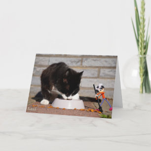 Fubby schoonmaken met de bezem bij etende Kat. Feestdagen Kaart