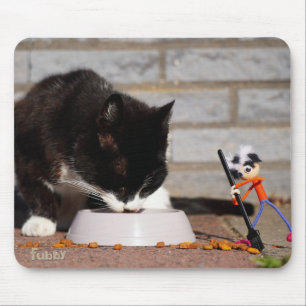 Fubby schoonmaken met de bezem bij etende Kat. Muismat