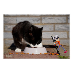 Fubby schoonmaken met de bezem bij etende Kat. Perfect Poster
