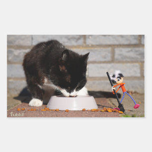 Fubby schoonmaken met de bezem bij etende Kat. Rechthoekige Sticker