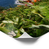 Fubby's actief met het hengelspel. perfect poster (Hoek)