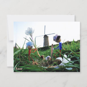 Fubby's bij een molen planten een krokus bol. briefkaart