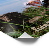 Fubby's die aan het Skaten zijn. Perfect Poster (Hoek)