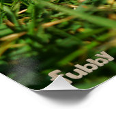 Fubby's die dansen in een narcissen jurk. perfect poster (Hoek)