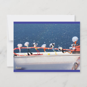 Fubby's die een lijn lieren van een Zeilboot. Briefkaart