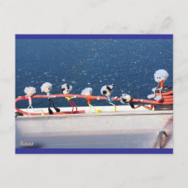 Fubby's die een lijn lieren van een Zeilboot. Briefkaart