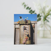 Fubby's die een vogelhuis beklimmen. briefkaart (Staand voorkant)