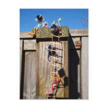 Fubby's die een vogelhuis beklimmen.