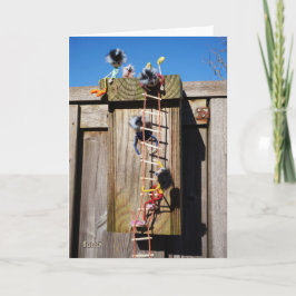 Fubby's die een vogelhuis beklimmen. kaart