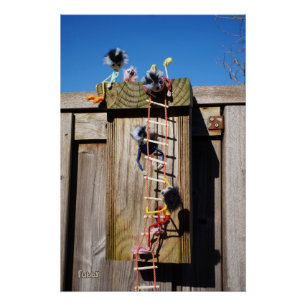 Fubby's die een vogelhuis beklimmen. perfect poster