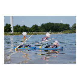 Fubby's die een wedstrijdje Peddelboard doen. Perfect Poster