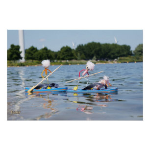 Fubby's die een wedstrijdje Peddelboard doen. Perfect Poster