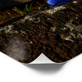 Fubby's die elkaars Valentijn zijn. Perfect Poster (Hoek)