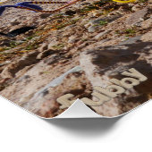 Fubby's die korfballen, winnen of verliezen. perfect poster (Hoek)