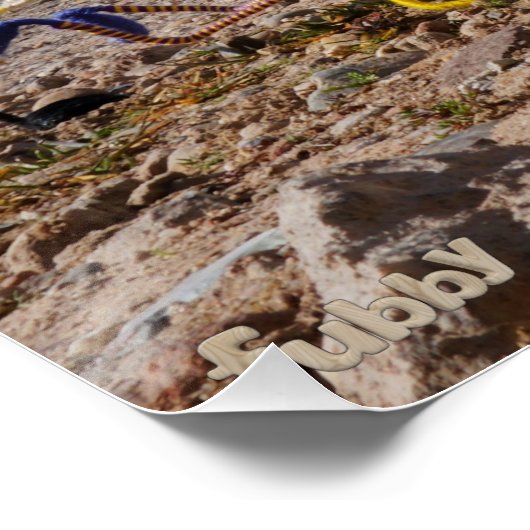 Fubby's die korfballen, winnen of verliezen. perfect poster (Hoek)