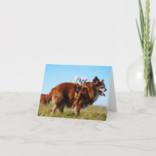 Fubby's die paardrijden op hun honden vriendje. bedankkaart