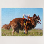 Fubby's die paardrijden op hun honden vriendje. legpuzzel<br><div class="desc">De Fubby is ontstaan in mijn hoofd. Als hersenspinsel ontstond een grappig volkje dat niet genoeg had aan fantasie maar echt tot leven wilde komen en vastgelegd op mijn gevoelige plaat. De Fubby's staan voor vrolijkheid, saamhorigheid, luchtigheid en vredig samenleven. Ze hebben bonte kleuren en zijn hebben een positieve instelling....</div>