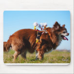 Fubby's die paardrijden op hun honden vriendje. muismat<br><div class="desc">De Fubby is ontstaan in mijn hoofd. Als hersenspinsel ontstond een grappig volkje dat niet genoeg had aan fantasie maar echt tot leven wilde komen en vastgelegd op mijn gevoelige plaat. De Fubby's staan voor vrolijkheid, saamhorigheid, luchtigheid en vredig samenleven. Ze hebben bonte kleuren en zijn hebben een positieve instelling....</div>