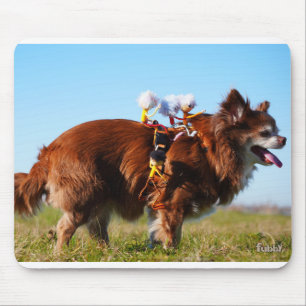 Fubby's die paardrijden op hun honden vriendje. muismat