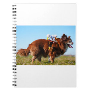 Fubby's die paardrijden op hun honden vriendje. notitieboek