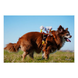 Fubby's die paardrijden op hun honden vriendje. perfect poster