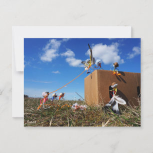 Fubby's die spelen met veren en vliegen. briefkaart