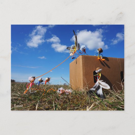 Fubby's die spelen met veren en vliegen. briefkaart (Voorkant)