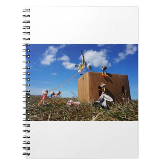 Fubby's die spelen met veren en vliegen. notitieboek (Voorkant)