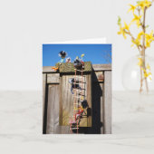 Fubby's in vogelhuisje met touwladder. kaart (Gele Bloem)