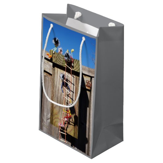 Fubby's in vogelhuisje met touwladder. klein cadeauzakje (Achterkant Gekanteld)