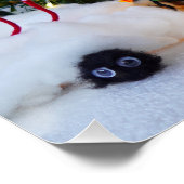 Fubby's in Winterwonderland. Perfect Poster (Hoek)