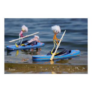 Fubby's op peddelboard dat een teenslipper is. perfect poster